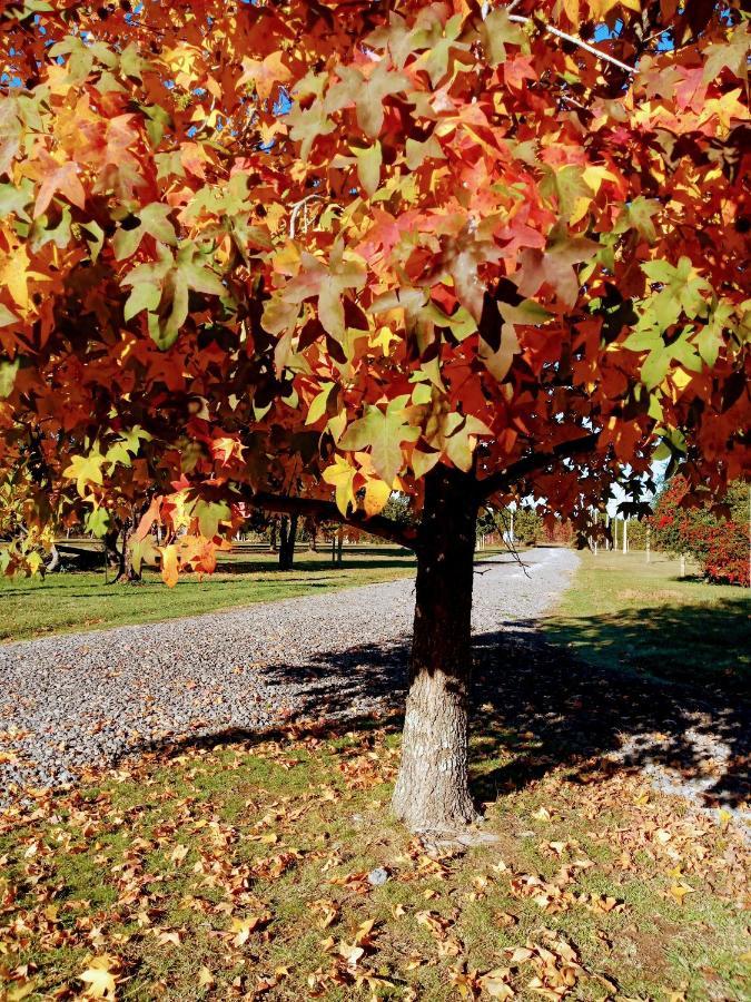 Casa De Campo Liquidambar San Pedro  Eksteriør bilde